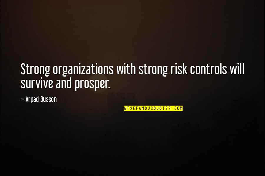 Paalam Nanay Quotes By Arpad Busson: Strong organizations with strong risk controls will survive