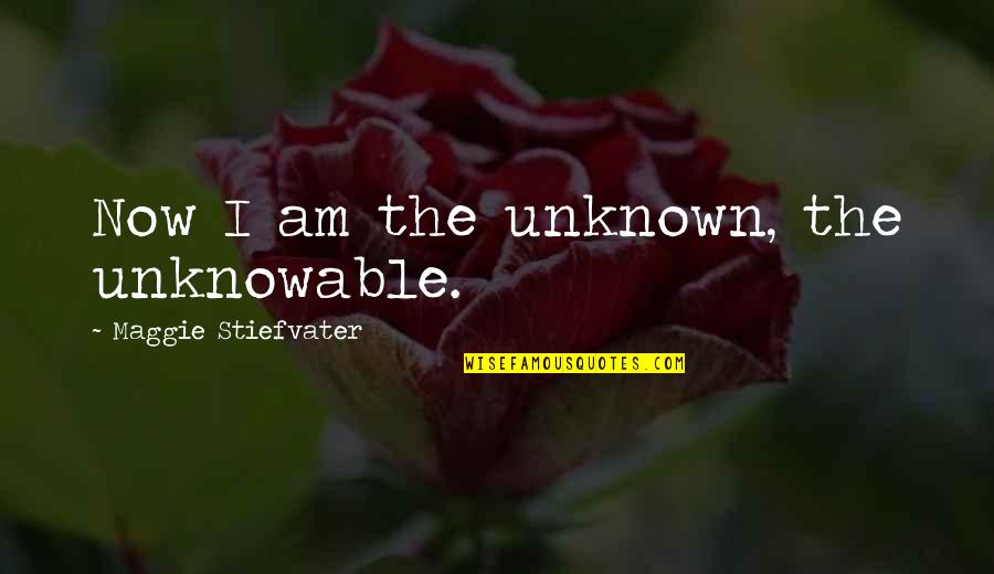 Pabandi Quotes By Maggie Stiefvater: Now I am the unknown, the unknowable.