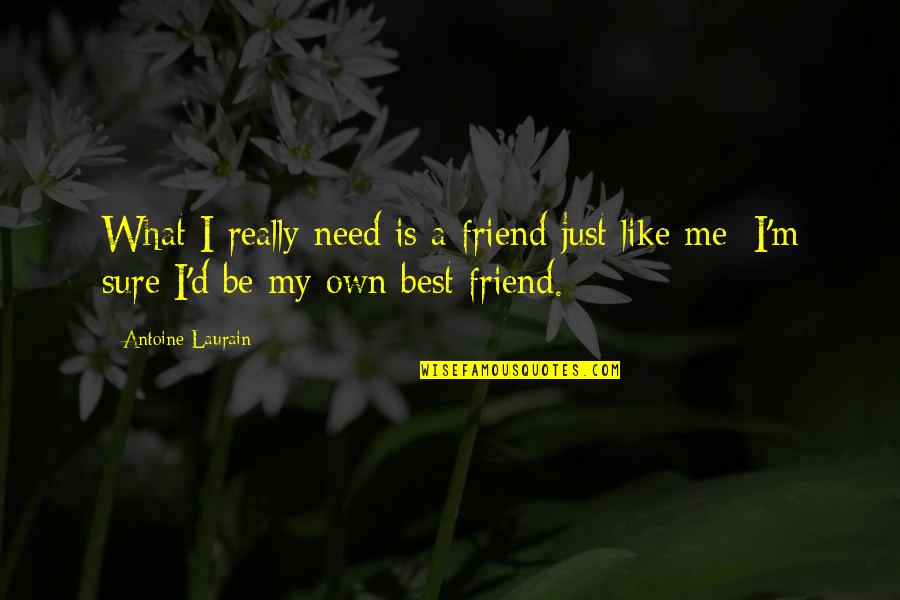 Pabellon Restaurant Quotes By Antoine Laurain: What I really need is a friend just