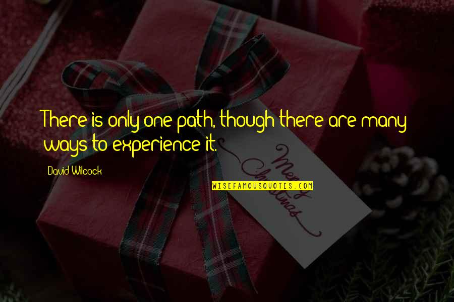 Pabicon Quotes By David Wilcock: There is only one path, though there are