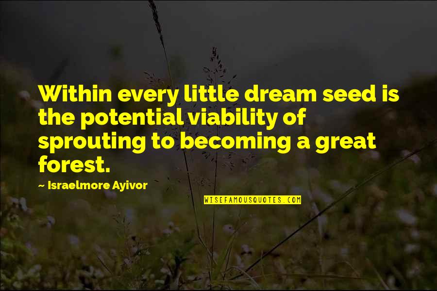 Pablo Alboran Quotes By Israelmore Ayivor: Within every little dream seed is the potential