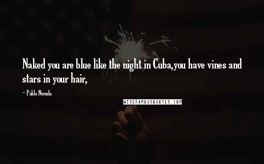 Pablo Neruda quotes: Naked you are blue like the night in Cuba,you have vines and stars in your hair,
