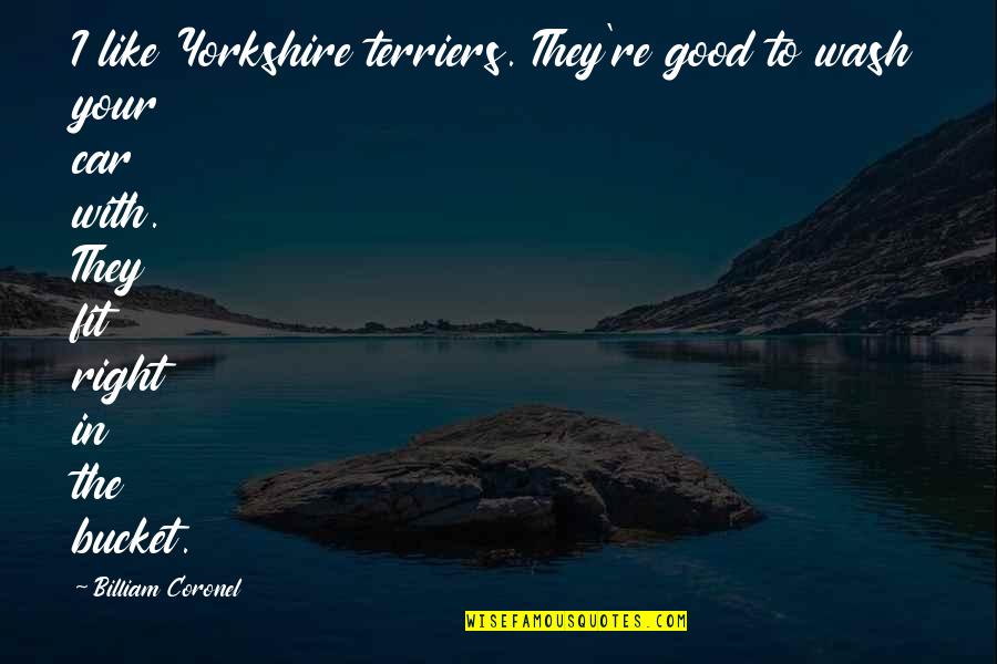 Pacas Y Quotes By Billiam Coronel: I like Yorkshire terriers. They're good to wash