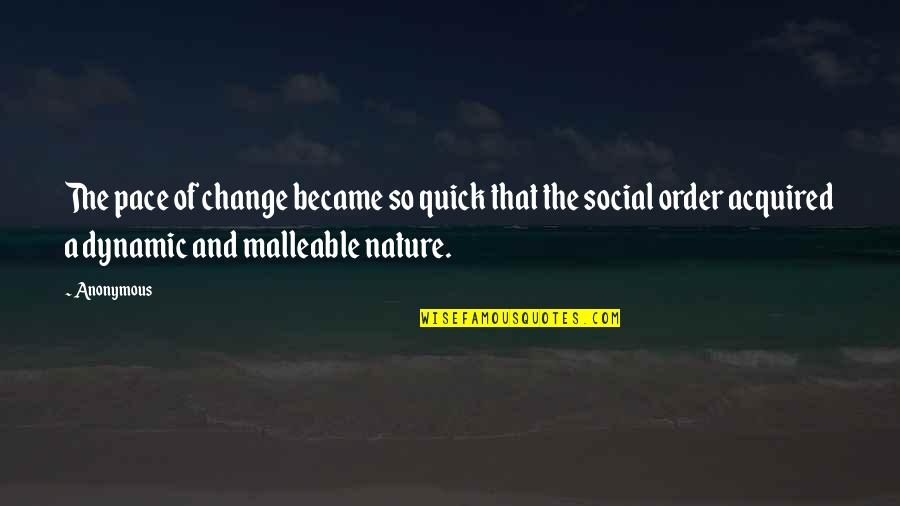 Pace Of Nature Quotes By Anonymous: The pace of change became so quick that