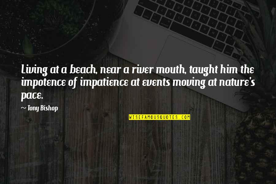 Pace Of Nature Quotes By Tony Bishop: Living at a beach, near a river mouth,