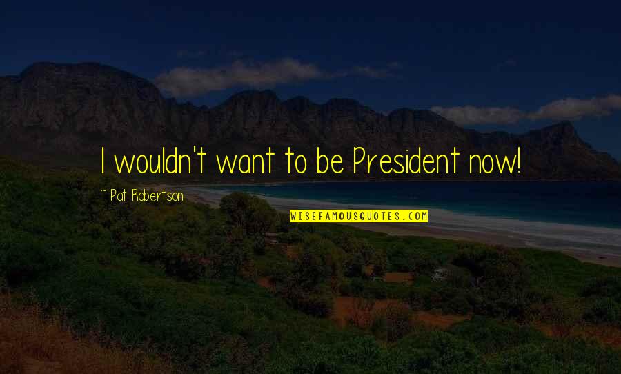 Pace Yourself Quotes By Pat Robertson: I wouldn't want to be President now!