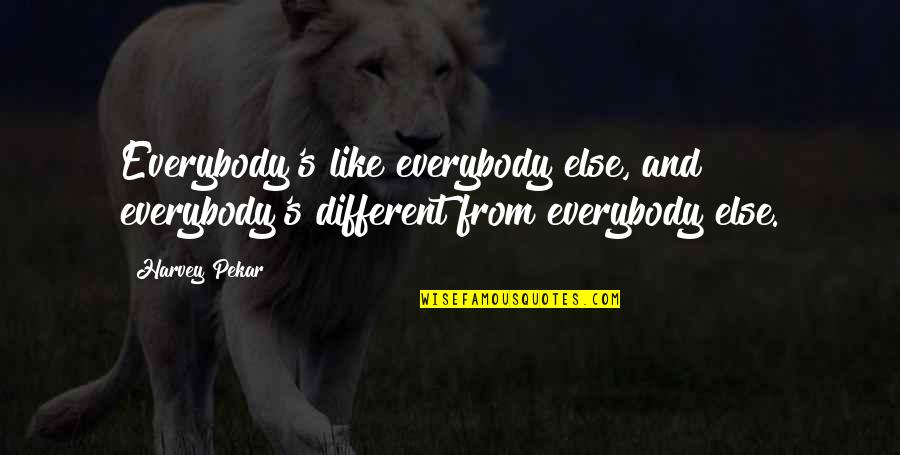 Paceth Quotes By Harvey Pekar: Everybody's like everybody else, and everybody's different from