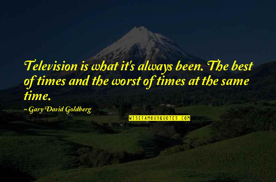 Paciente Cero Quotes By Gary David Goldberg: Television is what it's always been. The best