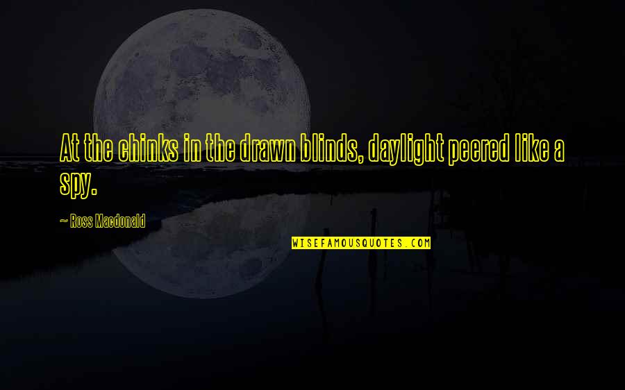 Pacientemente Definicion Quotes By Ross Macdonald: At the chinks in the drawn blinds, daylight