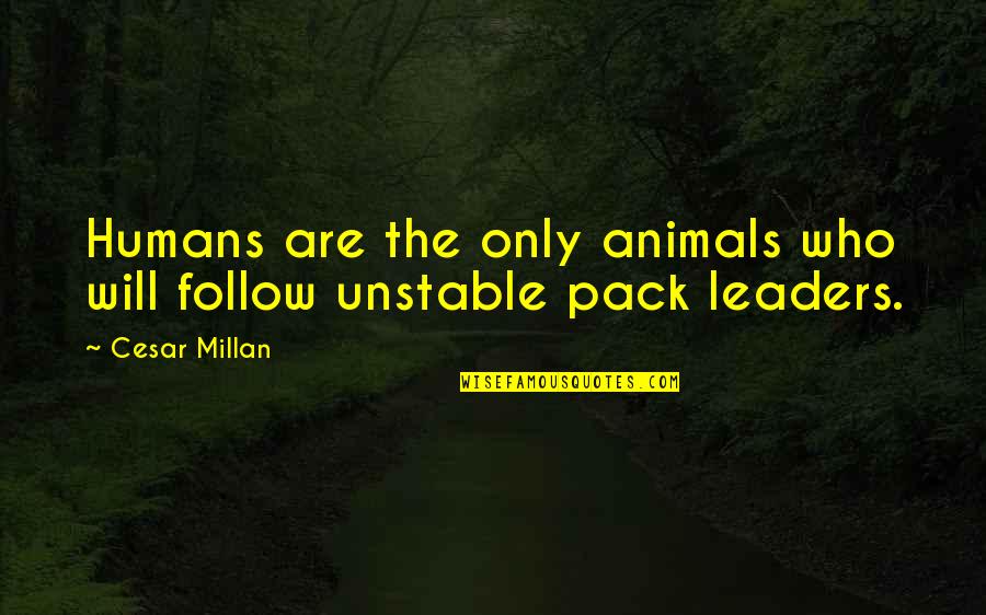 Pack Animals Quotes By Cesar Millan: Humans are the only animals who will follow