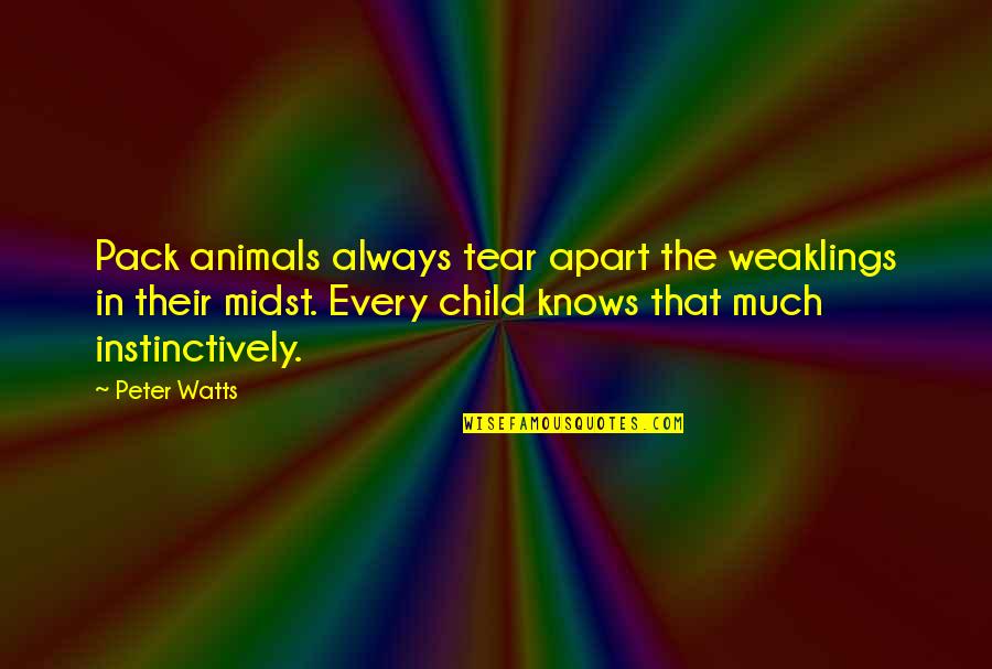 Pack Animals Quotes By Peter Watts: Pack animals always tear apart the weaklings in