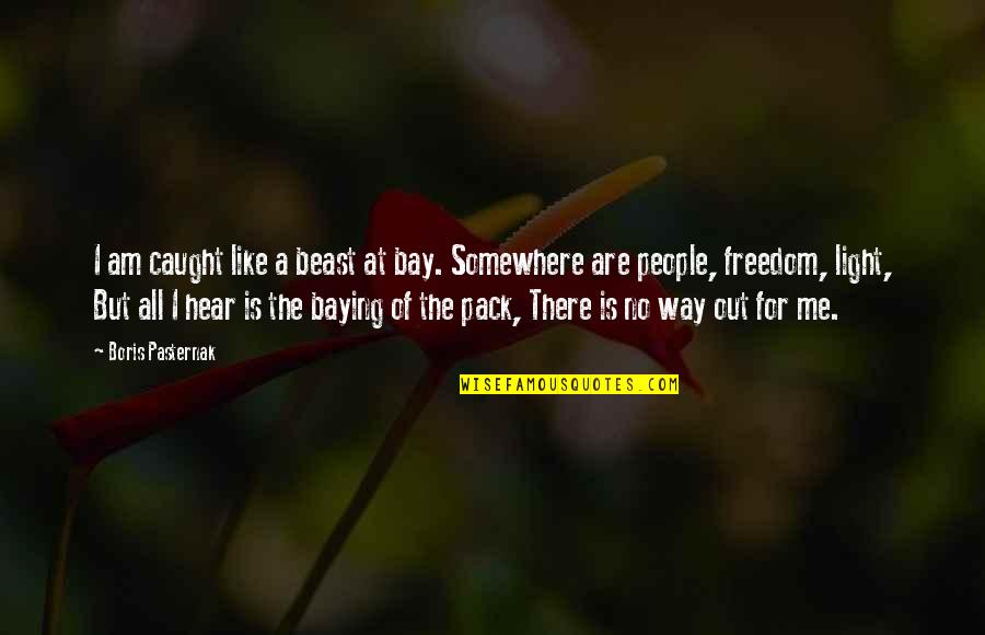 Pack Light Quotes By Boris Pasternak: I am caught like a beast at bay.