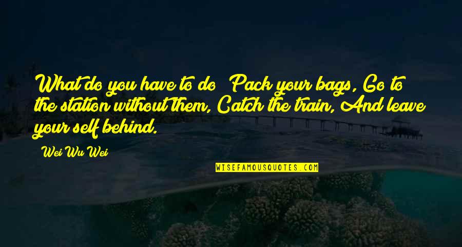 Pack Your Bags And Leave Quotes By Wei Wu Wei: What do you have to do? Pack your