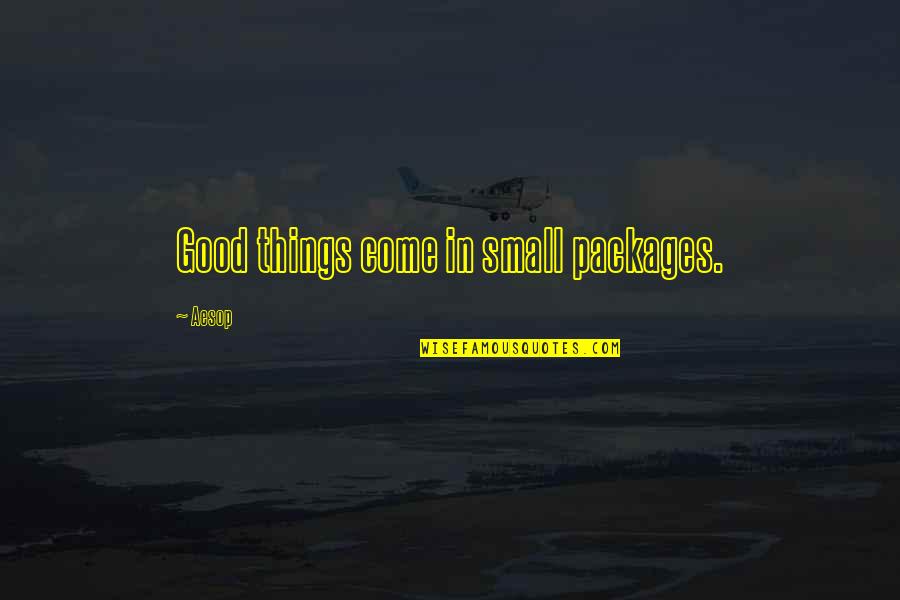 Packages Quotes By Aesop: Good things come in small packages.