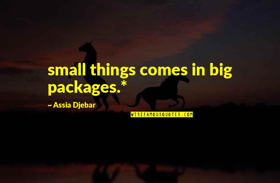 Packages Quotes By Assia Djebar: small things comes in big packages.*