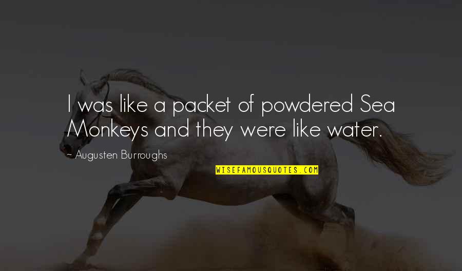 Packet Quotes By Augusten Burroughs: I was like a packet of powdered Sea