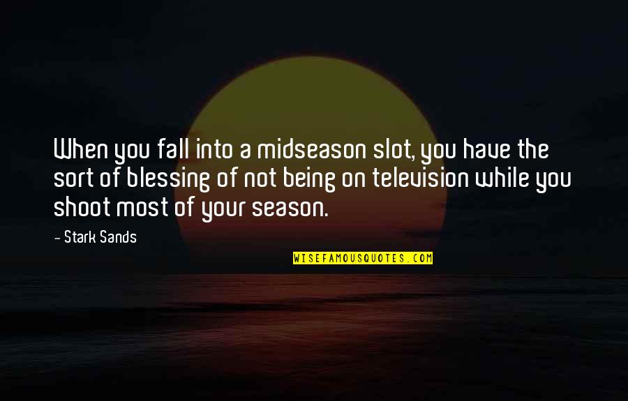 Packie Run Quotes By Stark Sands: When you fall into a midseason slot, you