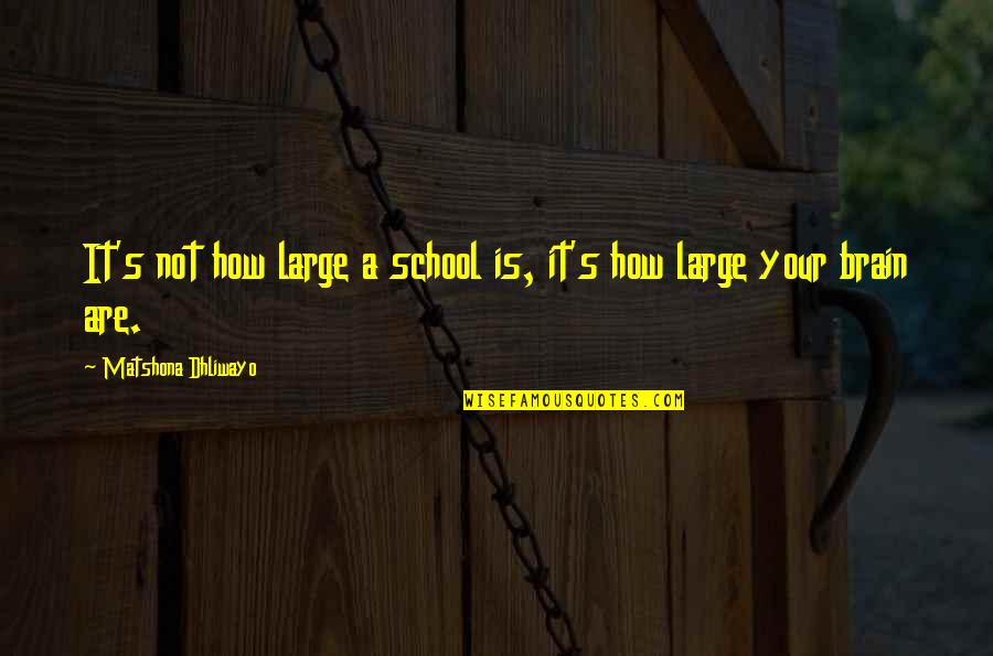 Packsaddles Quotes By Matshona Dhliwayo: It's not how large a school is, it's