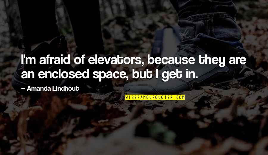 Packwood Quotes By Amanda Lindhout: I'm afraid of elevators, because they are an