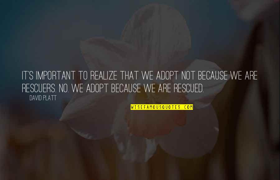 Paczek Wiedenski Quotes By David Platt: It's important to realize that we adopt not Paczek Wiedenski Quotes By David Platt: It's important to realize that we adopt not
