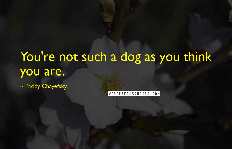 Paddy Chayefsky quotes: You're not such a dog as you think you are.