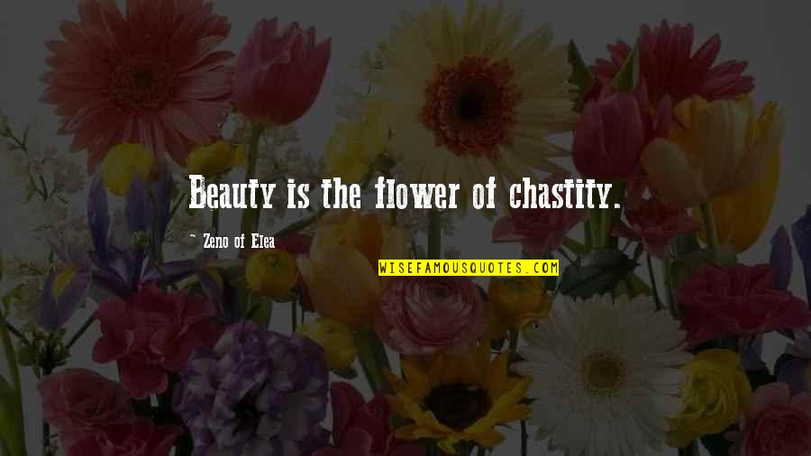 Padece Quotes By Zeno Of Elea: Beauty is the flower of chastity.