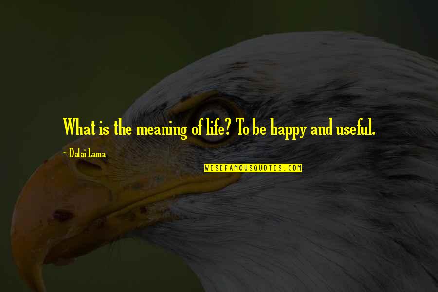 Paderewski Fine Quotes By Dalai Lama: What is the meaning of life? To be