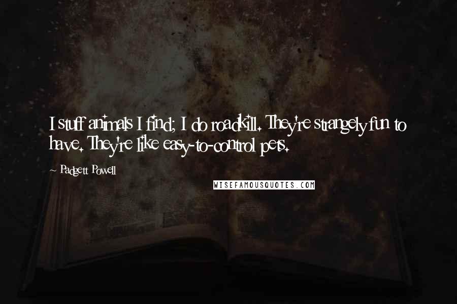 Padgett Powell quotes: I stuff animals I find; I do roadkill. They're strangely fun to have. They're like easy-to-control pets.