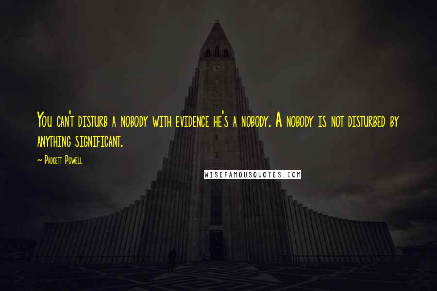 Padgett Powell quotes: You can't disturb a nobody with evidence he's a nobody. A nobody is not disturbed by anything significant.