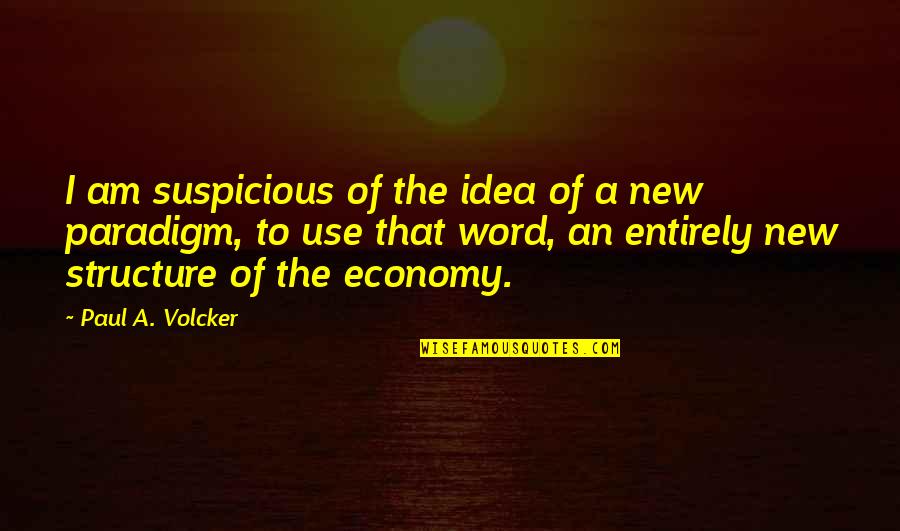 Paepke Auditorium Quotes By Paul A. Volcker: I am suspicious of the idea of a