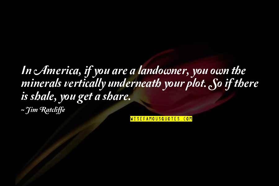 Pagaspas Mulawin Quotes By Jim Ratcliffe: In America, if you are a landowner, you