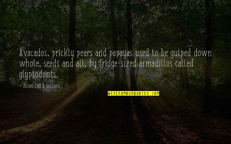 Page 28 Quotes By Adam Leith Gollner: Avacados, prickly pears and papayas used to be Page 28 Quotes By Adam Leith Gollner: Avacados, prickly pears and papayas used to be