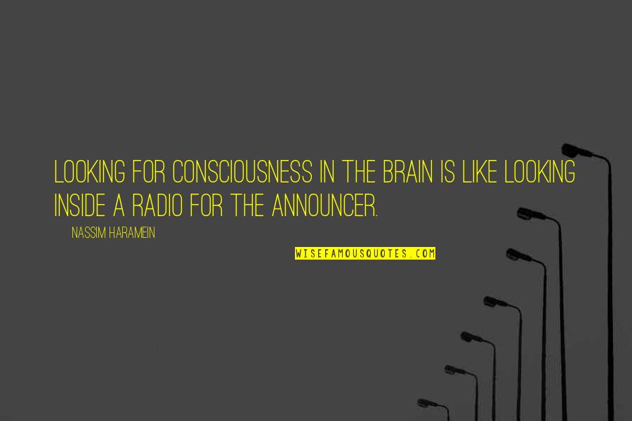 Page Dolls Quotes By Nassim Haramein: Looking for consciousness in the brain is like Page Dolls Quotes By Nassim Haramein: Looking for consciousness in the brain is like