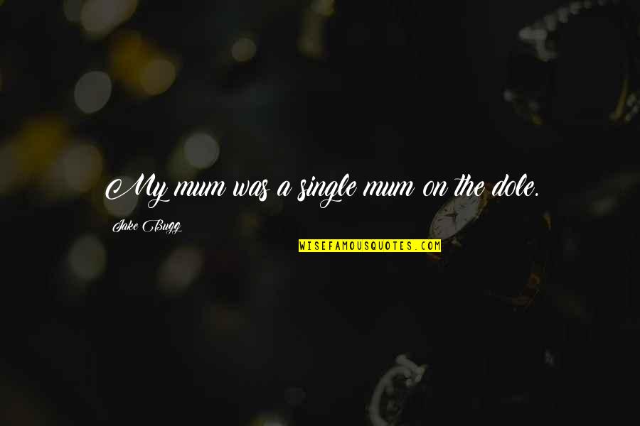 Paged Quotes By Jake Bugg: My mum was a single mum on the
