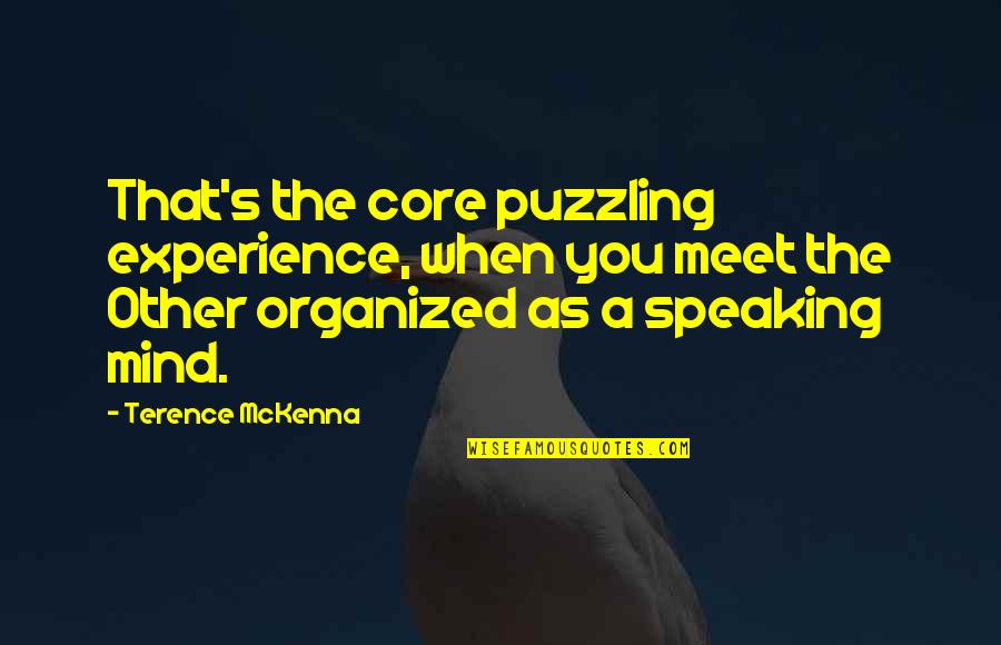 Pagiging Masaya Quotes By Terence McKenna: That's the core puzzling experience, when you meet Pagiging Masaya Quotes By Terence McKenna: That's the core puzzling experience, when you meet