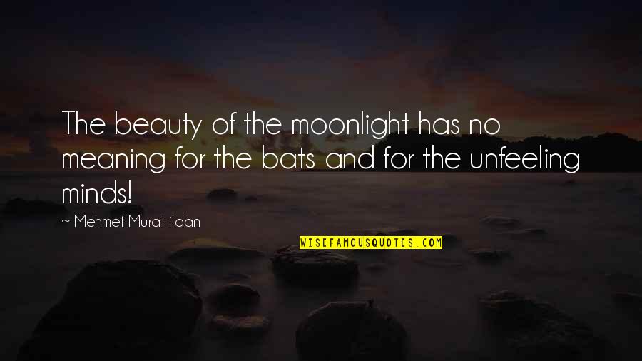 Pagina12 Quotes By Mehmet Murat Ildan: The beauty of the moonlight has no meaning
