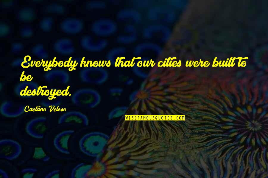 Pagliais Des Moines Quotes By Caetano Veloso: Everybody knows that our cities were built to Pagliais Des Moines Quotes By Caetano Veloso: Everybody knows that our cities were built to
