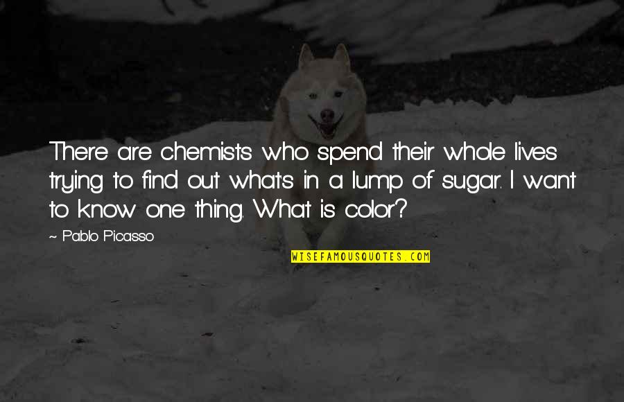 Pagnes Cote Quotes By Pablo Picasso: There are chemists who spend their whole lives Pagnes Cote Quotes By Pablo Picasso: There are chemists who spend their whole lives