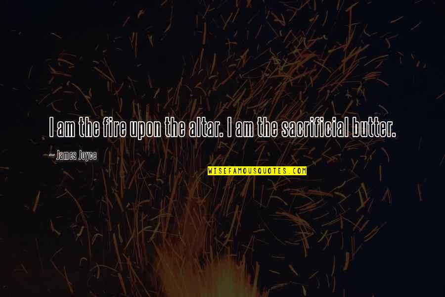 Pagodas For Gardens Quotes By James Joyce: I am the fire upon the altar. I