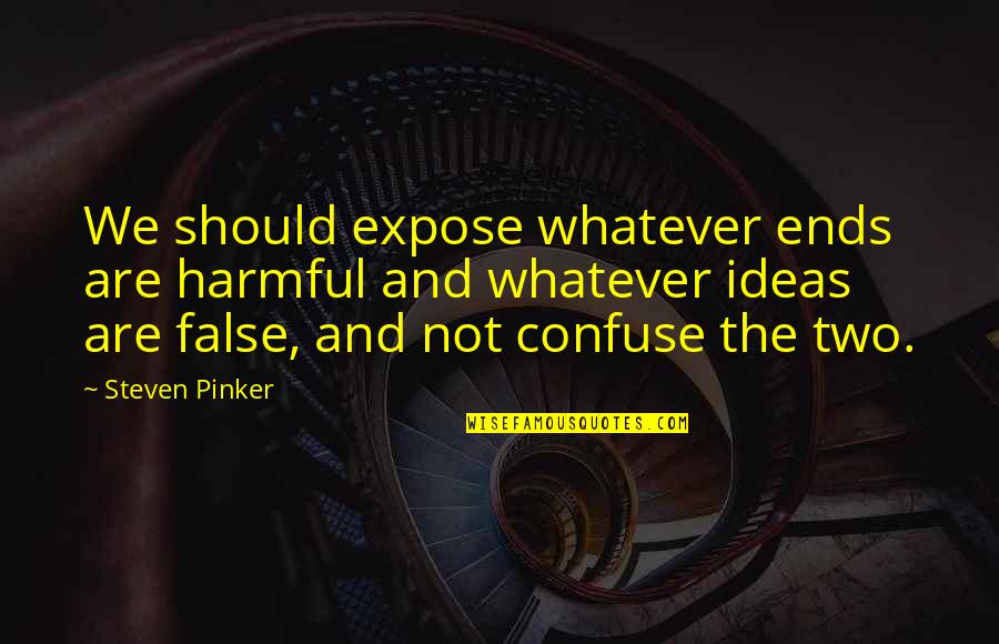 Pagpapahalaga Sa Kaibigan Quotes By Steven Pinker: We should expose whatever ends are harmful and