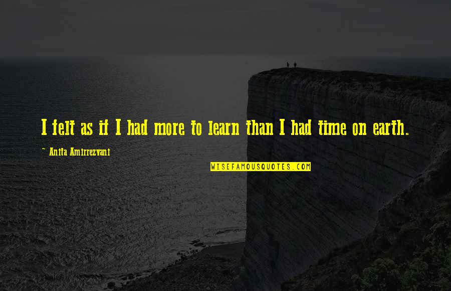 Pagpuksa Quotes By Anita Amirrezvani: I felt as if I had more to Pagpuksa Quotes By Anita Amirrezvani: I felt as if I had more to