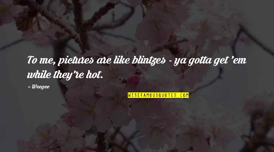 Pagsanjan Laguna Quotes By Weegee: To me, pictures are like blintzes - ya