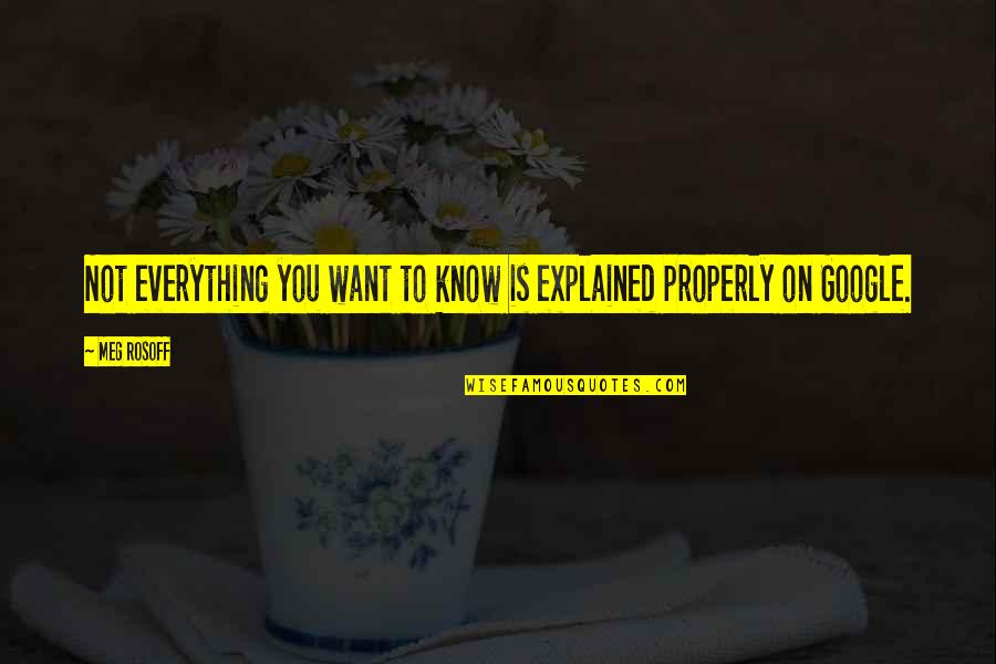 Paha Quotes By Meg Rosoff: Not everything you want to know is explained