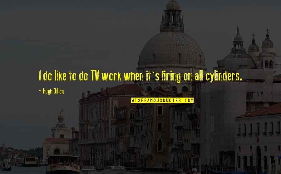 Paidia Stin Quotes By Hugh Dillon: I do like to do TV work when