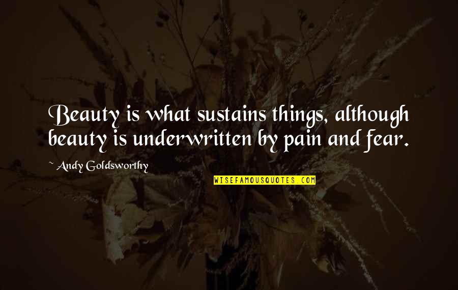 Pain And Beauty Quotes By Andy Goldsworthy: Beauty is what sustains things, although beauty is