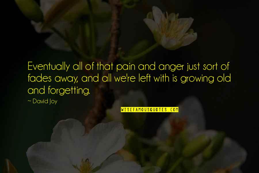 Pain And Joy Quotes By David Joy: Eventually all of that pain and anger just