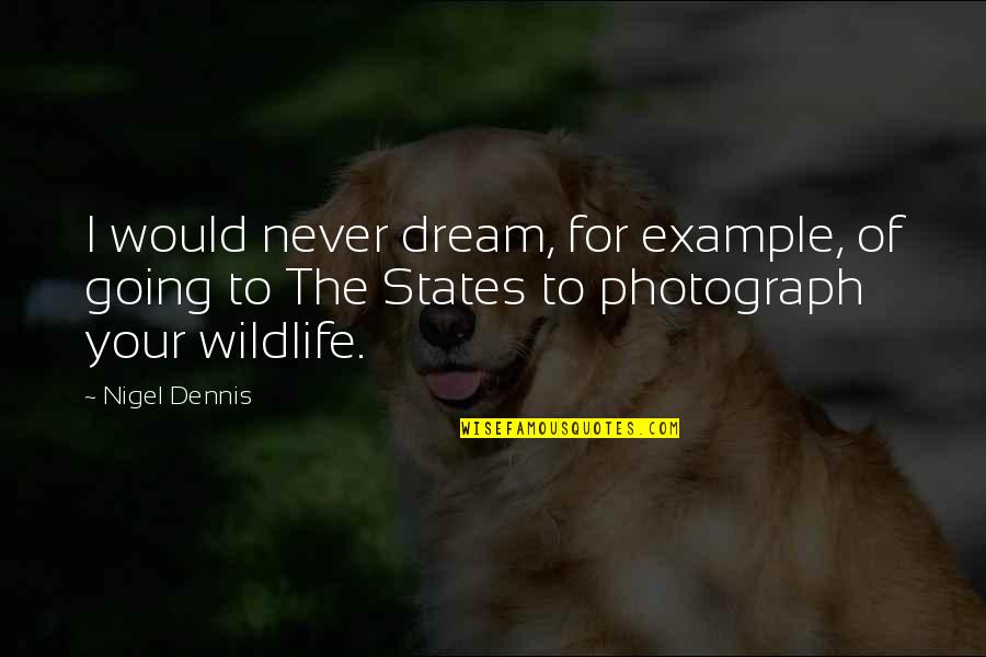 Pain And Longing Quotes By Nigel Dennis: I would never dream, for example, of going Pain And Longing Quotes By Nigel Dennis: I would never dream, for example, of going