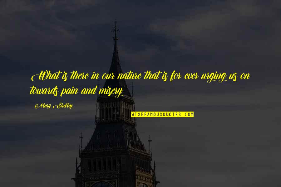 Pain And Misery Quotes By Mary Shelley: What is there in our nature that is