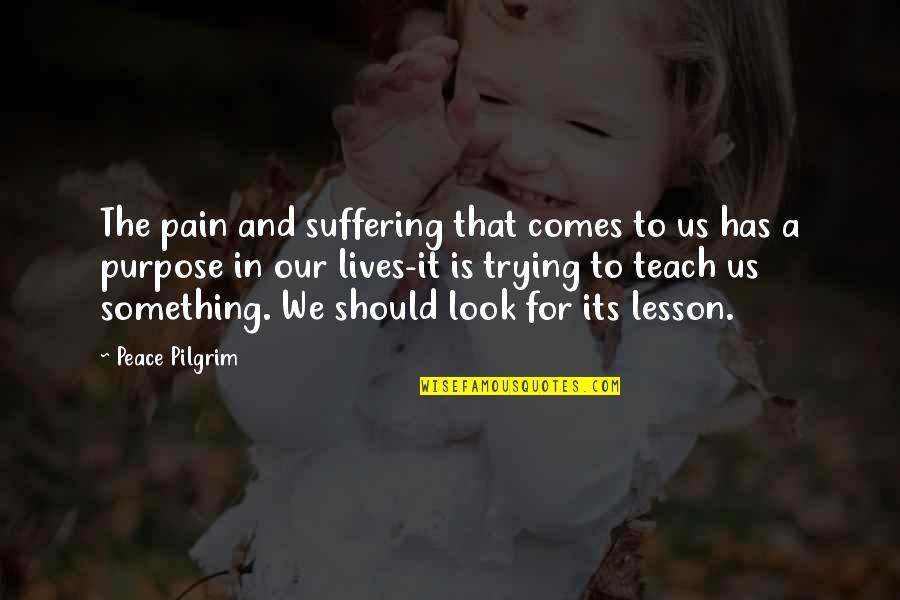 Pain And Purpose Quotes By Peace Pilgrim: The pain and suffering that comes to us Pain And Purpose Quotes By Peace Pilgrim: The pain and suffering that comes to us