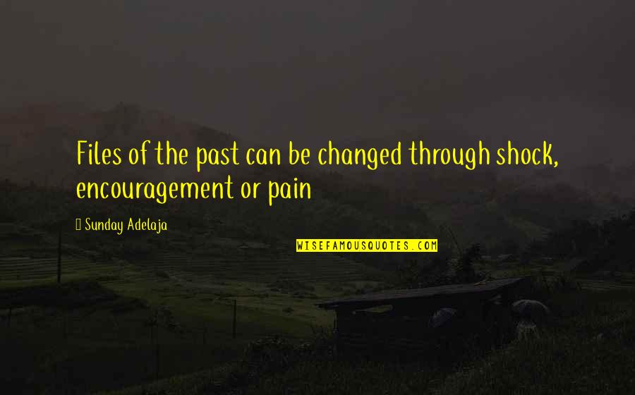 Pain And Purpose Quotes By Sunday Adelaja: Files of the past can be changed through
